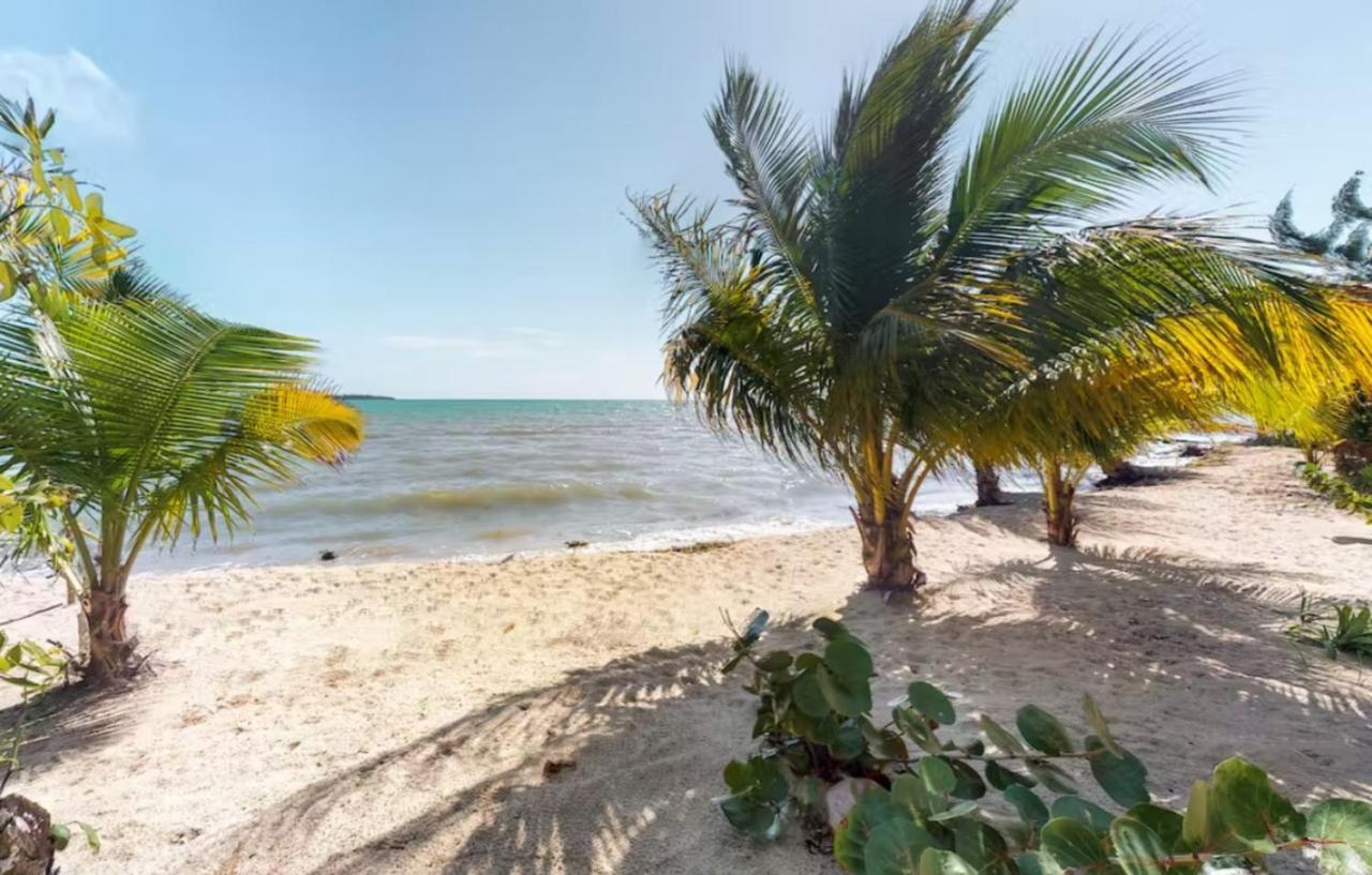 Alterhome Swan Villas With Swimming Pool And Ocean Views Placencia Exterior photo
